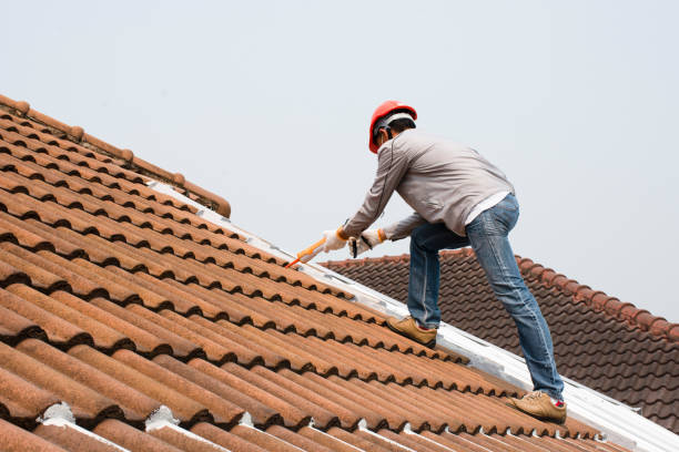 Best Wood Shake Roofing  in West Wendover, NV